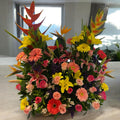 Jardinera Jumbo