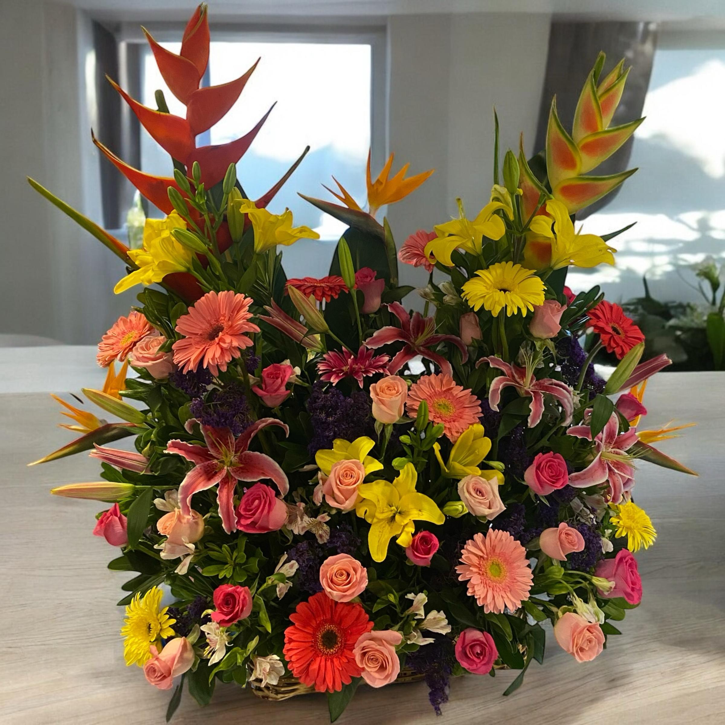 Jardinera Jumbo
