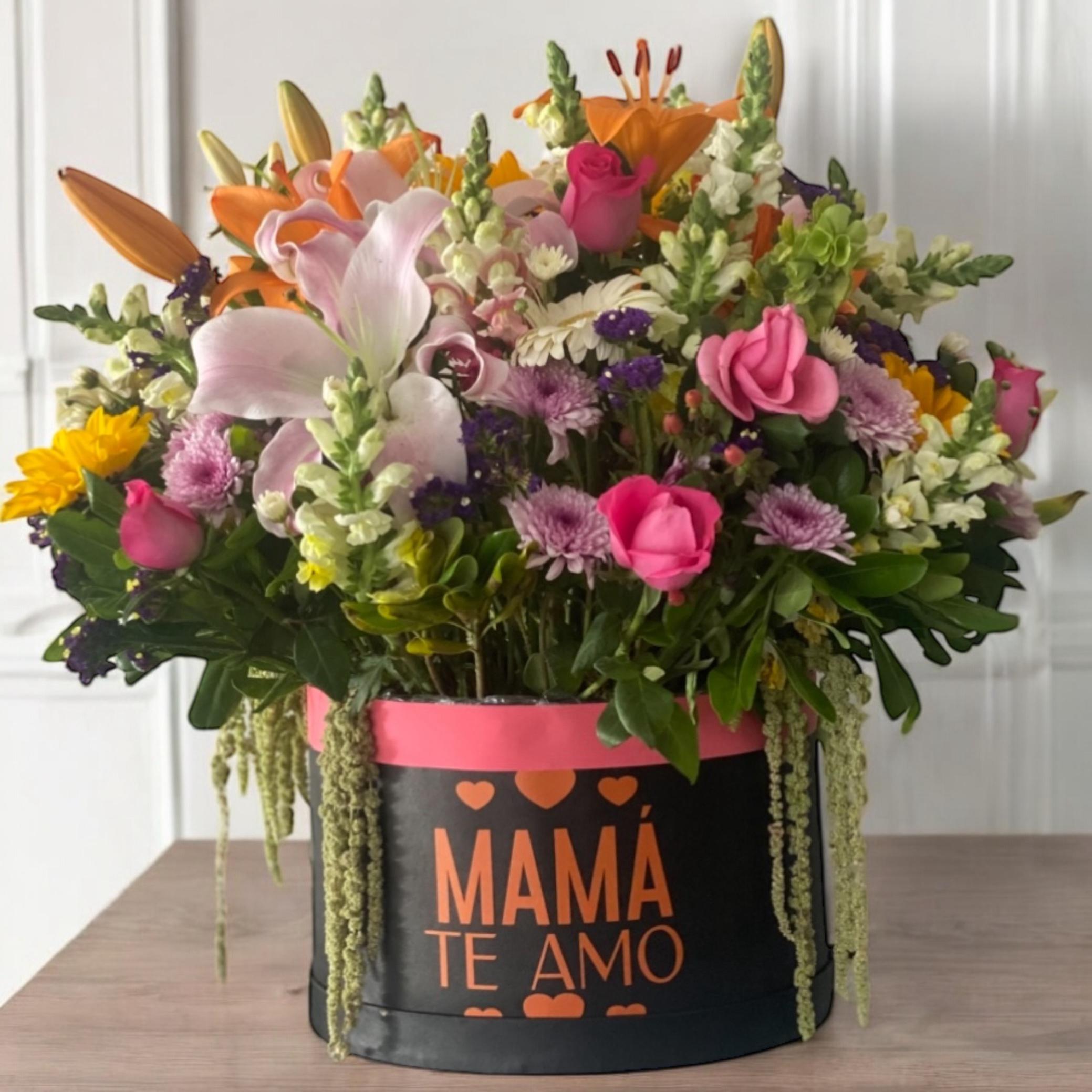 Caja jumbo 'Mamá te Amo'