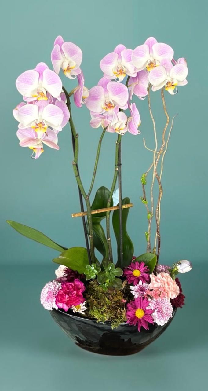 Orquídea doble lila