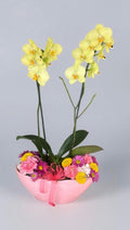 Orquídea amarilla doble