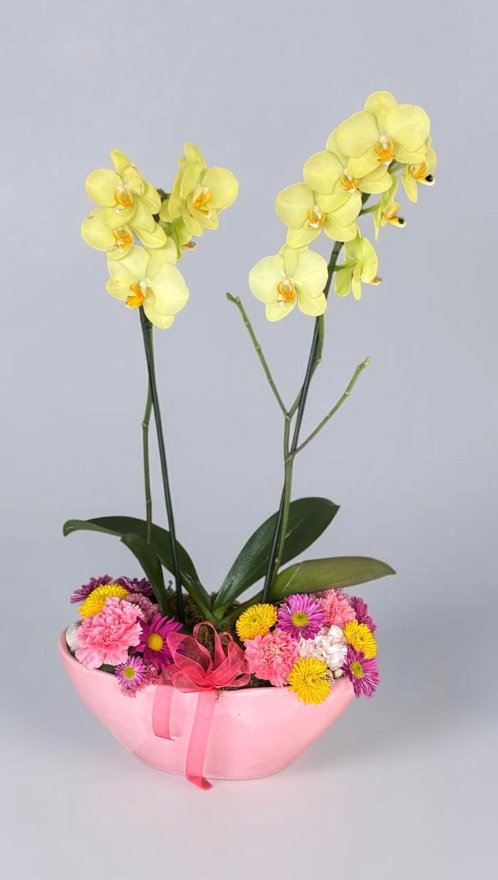 Orquídea amarilla doble